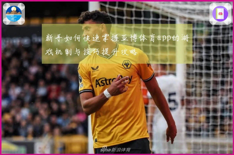 新手如何快速掌握亚博体育app的游戏机制与技巧提升攻略
