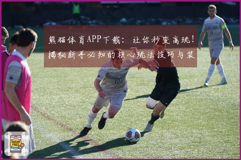 熊猫体育APP下载：让你秒变高玩！揭秘新手必知的核心玩法技巧与装备搭配